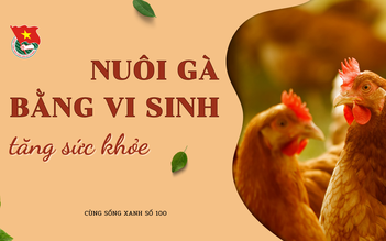 Cùng sống xanh số 100: Nuôi gà vi sinh để cải thiện sức khỏe cho người thân sau đại dịch