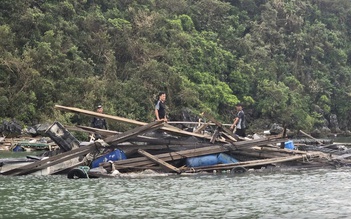 'Mong ngân hàng thương mà giãn nợ, cho vay tiền để làm lại'