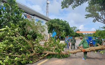 Quân đội, chính quyền và người dân vùng biển Quảng Trị chạy đua với bão số 4