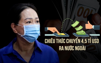 Trương Mỹ Lan chuyển hơn 106.000 tỉ ra nước ngoài bằng cách nào?