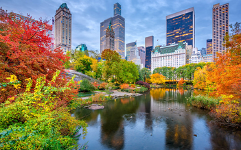 Vẻ đẹp bốn mùa rực rỡ tại Central Park, New York