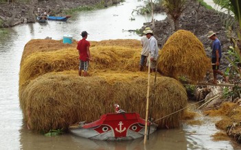 Rơm và trấu dùng để sản xuất nhiên liệu hàng không bền vững