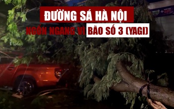 Bão số 3 (YAGI) càn quét Hà Nội: Đường sá ngổn ngang, cây ngã đè ô tô