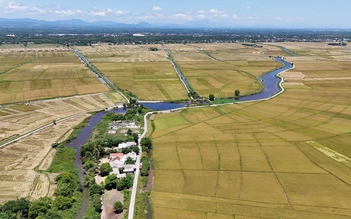‘Hải Lăng phải là đóa hoa nở trên cát!’