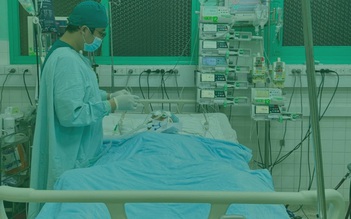 Can thiệp ECMO, lọc máu cứu bé gái sốc tim khi đang du lịch Việt Nam