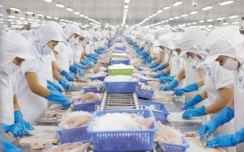 Thủy sản xuất khẩu lại bị vướng ở cảng vì quy định ghi nhãn