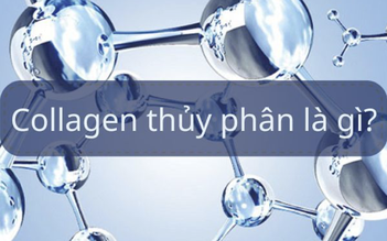 Collagen thủy phân là gì? Đâu là loại tốt và được tìm mua nhiều?