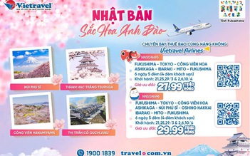 Đắm say hương sắc ở Fukushima cùng Vietravel khi mùa hoa anh đào về