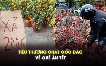 Ế ẩm ngày 29 tết, tiểu thương Hà Nội chặt đào, bán rẻ hoa để về quê ăn tết