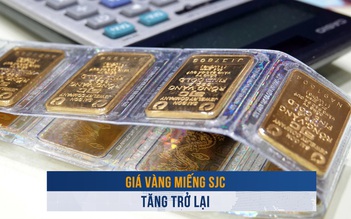 Biến động vàng ngày 8.1: Giá vàng miếng SJC tăng trở lại