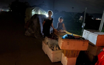 Lũ trên sông Bưởi vượt đỉnh lũ lịch sử năm 2007