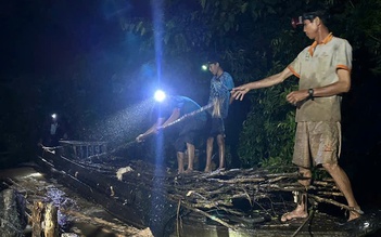 Đồng Tháp: Vụ sạt lở đê ở xã Hiệp Đức gây thiệt hại hơn 3,7 tỉ đồng