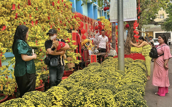 Lịch nghỉ tết Bính Ngọ 9 ngày liên tiếp: Theo lịch âm có gì thú vị?