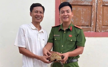 Rùa núi vàng quý hiếm 'lạc' vào nhà, người dân liền giao nộp kiểm lâm