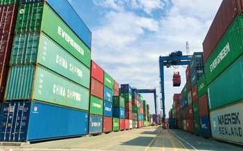 Chi cục Hải quan Khu vực II: Nhiều thách thức trong chống buôn lậu, hàng giả... qua sàn thương mại điện tử