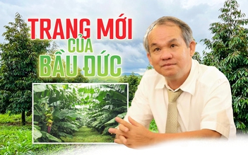 Trang mới  của bầu Đức