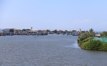 Ăn cá nóc, 5 người nhập viện