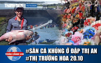 Toàn cảnh 17h: Xem cảnh săn cá khủng ở Thủy điện trị An | Thị trường hoa 20.10 đìu hiu do bão lũ
