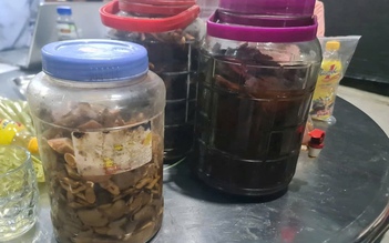 Uống rượu ngâm rễ cây, 6 người bị ngộ độc nặng