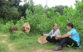 20 năm bán vé số nuôi 6 con ăn học: Rồi mẹ cũng 'tốt nghiệp' trường đời...