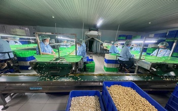 Những quy định tréo ngoe chờ tháo gỡ