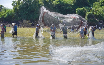 Đổ xô đi bắt cá ở chân đập tràn thủy điện lớn nhất miền Nam