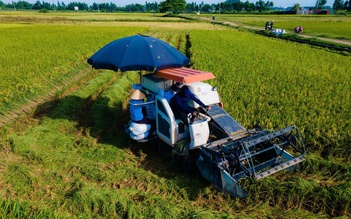 Hà Nội muốn chi gần 900 tỉ đồng/năm hỗ trợ chính sách phát triển nông nghiệp, nông thôn