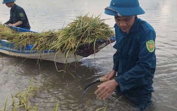 Tây Ninh: Mưa lũ khẩn cấp, nước sông Vàm Cỏ Đông vượt báo động III