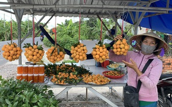 Phụ nữ tạo ra 'mùa vàng' cho nông nghiệp