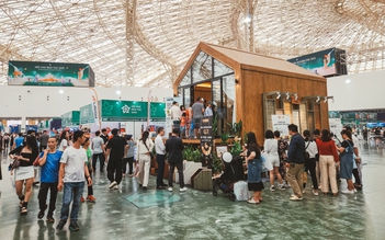 Mô hình nhà gỗ công nghệ cao CLT lần đầu ra mắt tại Việt Nam