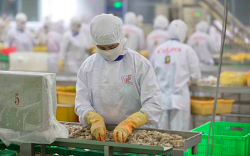 Việt Nam - Mỹ thống nhất công bố tuyên bố chung về thuế đối ứng