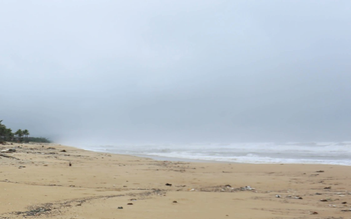 Chìm tàu hàng chở gần 6.000 tấn xi măng ngoài khơi TP.Huế