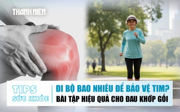 Bản tin sức khỏe ngày 29.10: Nên đi bộ bao nhiêu để bảo vệ tim? | Bài tập hiệu quả cho đau khớp gối