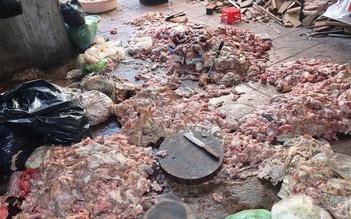 Rùng mình cảnh chế biến mỡ heo dưới nền nhà
