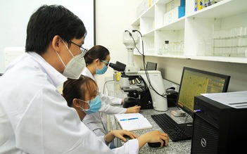 Sắp xếp trường ĐH nên theo hướng nào?