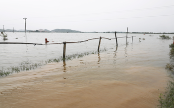 Đêm nay 7.10, lũ trên các sông tiếp tục lên nhanh