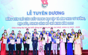 Đoàn Thanh niên Chính phủ tuyên dương 95 đảng viên trẻ tiêu biểu