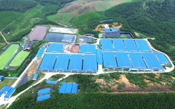 Một xã có 7 trang trại chăn nuôi lợn: Ô nhiễm môi trường rình rập