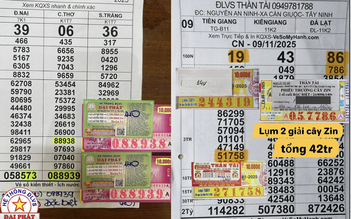 Mua nguyên cây vé 140 tờ, bất ngờ trúng 2 giải xổ số miền Nam