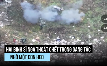 Heo cứu binh sĩ Nga thoát chết trong gang tấc