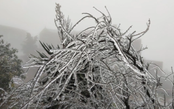 Đón không khí lạnh cực mạnh, miền Bắc rét 6 ngày, vùng núi dưới 5 độ C