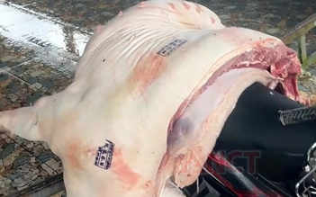 Bắt 3 cán bộ thú y liên quan vụ bán thịt nhiễm dịch tả heo châu Phi ở chợ