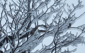 Băng giá xuất hiện trên đường lên đỉnh Tà Xùa