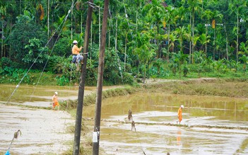 PC Quảng Ngãi nỗ lực khắc phục lưới điện sau lũ