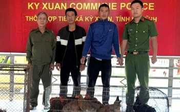 Ăn nhậu xong rủ nhau đi bắt trộm 24 con gà