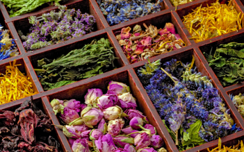 Top 5 thảo dược giải cứu làn da hồng ban do mụn viêm dễ tìm