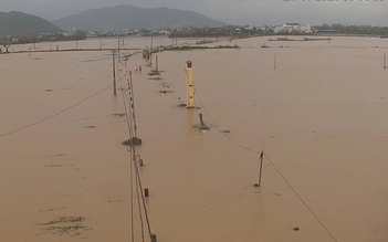 Mưa lớn trong đêm, nhiều khu vực phía đông tỉnh Gia Lai ngập trở lại