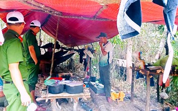 Đà Nẵng tăng cường quản lý tài nguyên, bảo vệ môi trường