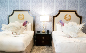 Tổng thống Trump ân xá gà tây dịp Lễ tạ ơn