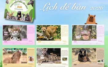 Thảo Cầm Viên Sài Gòn dành toàn bộ lợi nhuận bộ lịch 2026 ủng hộ miền Trung